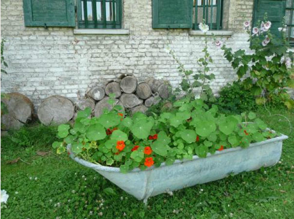 Manoir De Bois En Ardres B&B 외부 사진
