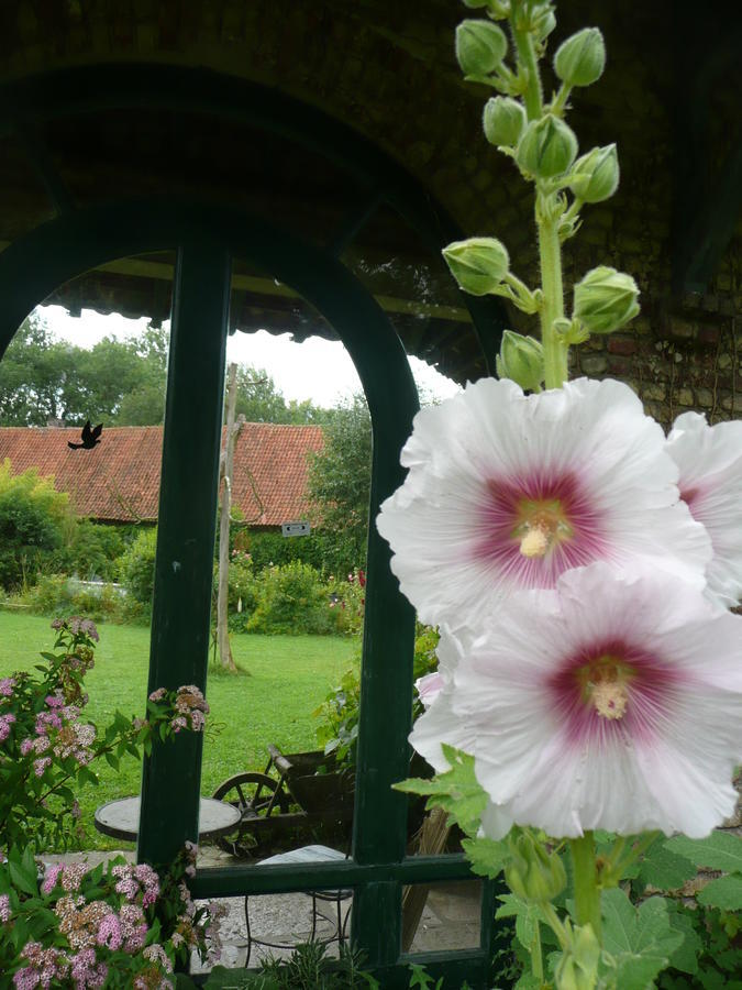 Manoir De Bois En Ardres B&B 외부 사진