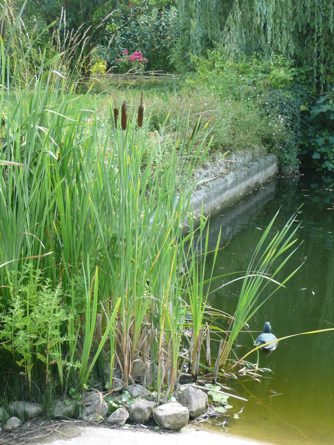 Manoir De Bois En Ardres B&B 외부 사진