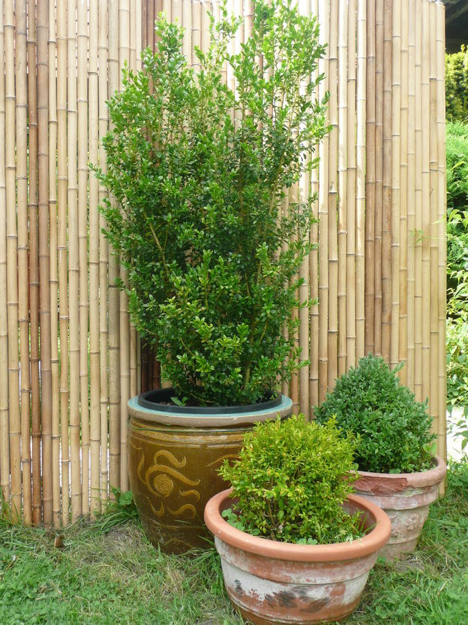 Manoir De Bois En Ardres B&B 외부 사진